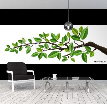 Bild på Horizontal banner with tree branch and green leaf isolated on white For background footer or nature design 